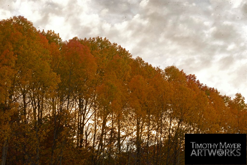 Wisconsin Fall Landscapes