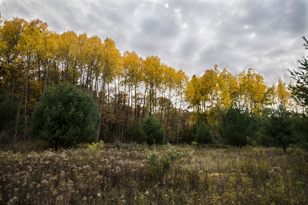 Autumn Photographic Driving Excursion